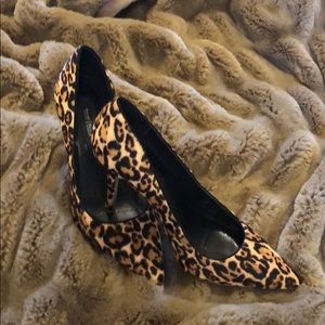 Bring out the cheetah in you!